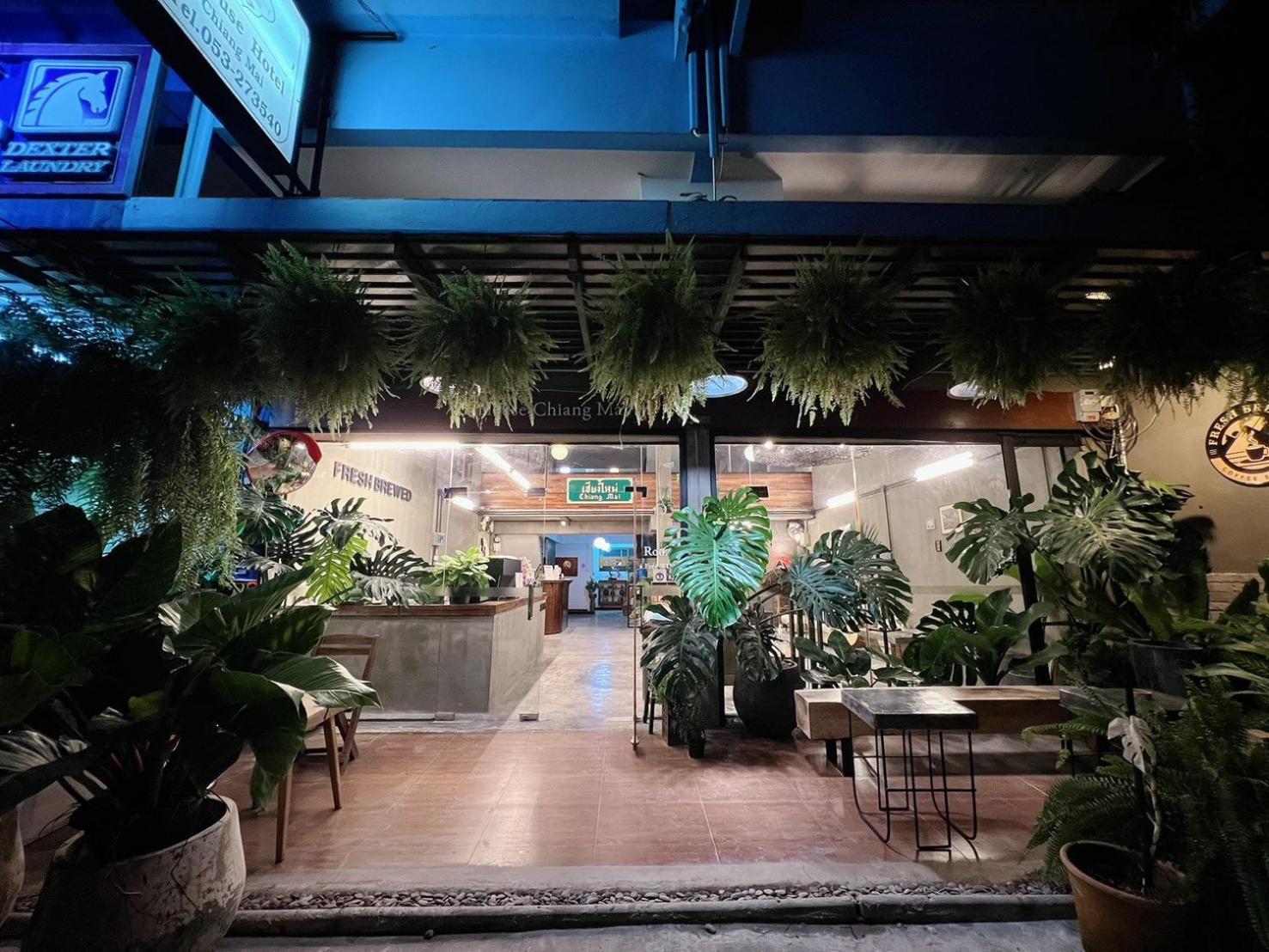 B House Chiang Mai Thailand — Photos 1